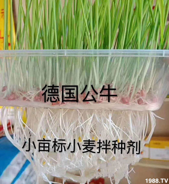 С����N�����a(ch��n)��С����N������x����С����N��Ʒ���x��