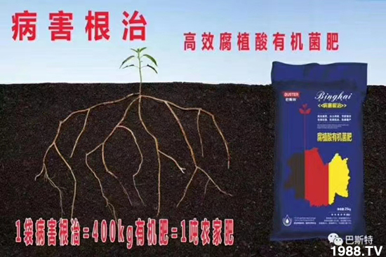     ���׌�Nֲ׃�ø��p����һ���ײ���ȫ���䷽����˹�ش󽪠I�B(y��ng)�ײͷ�����