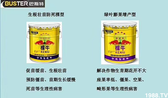     ���׌�Nֲ׃�ø��p����һ���ײ���ȫ���䷽����˹�ش󽪠I�B(y��ng)�ײͷ�����