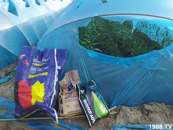     ���׌�Nֲ׃�ø��p����һ���ײͣ�ȫ���䷽����˹�ش󽪠I�B(y��ng)�ײͷ�����