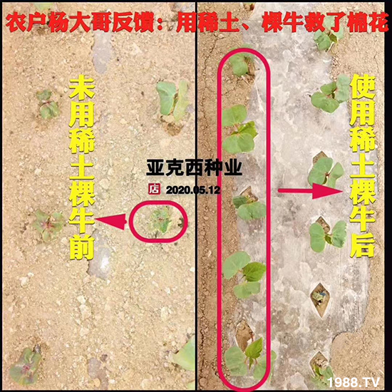     ���׌�Nֲ׃�ø��p����һ���ײ���ȫ���䷽����˹�ش󽪠I�B(y��ng)�ײͷ�����