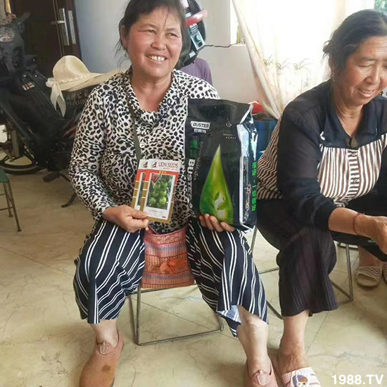     ���׌�Nֲ׃�ø��p����һ���ײ���ȫ���䷽����˹�ش󽪠I�B(y��ng)�ײͷ�����