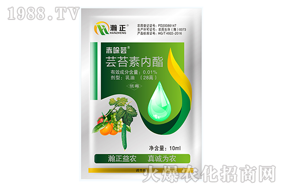 �|̦�؃�(n��i)����ʲô��(y��u)�����|̦�؃�(n��i)�����䷽������Щ��