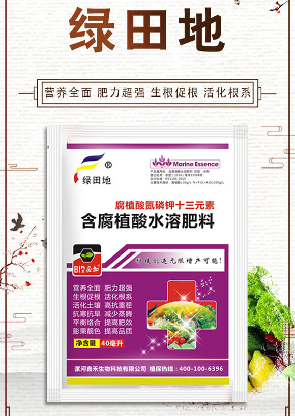 ��ֳ�ᵪ���ʮ��Ԫ�أ�40������-�𿵉�-�G���_01