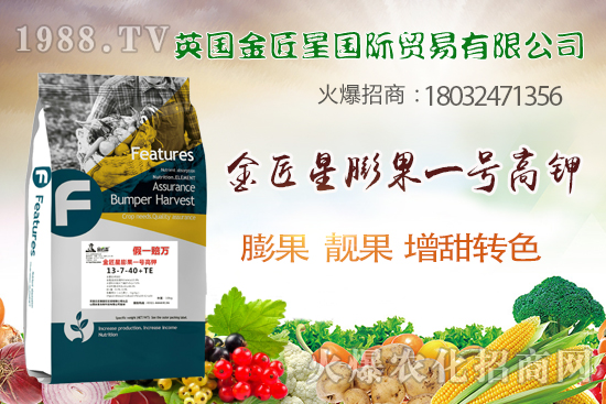 ɫ������ζ������������������(sh��)��ɶ�Z�߮a(ch��n)�����������һ̖(h��o)��⛡�ȫ�㶨��