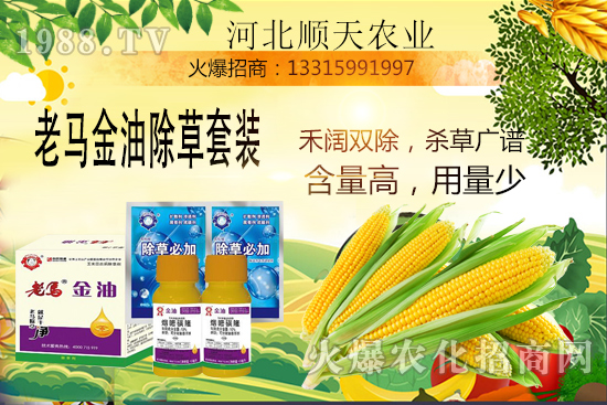 ����������������Ч�������׳����P�I�c��R����