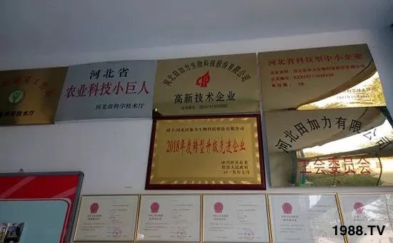 獲獎(jiǎng)眾多