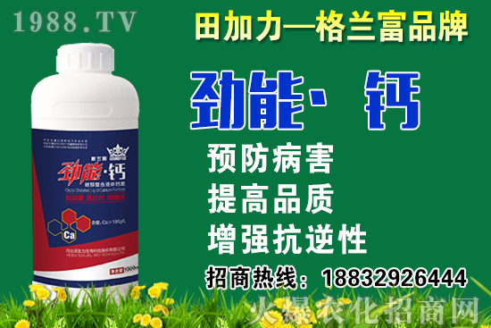 2020���}��ʲô�r��N�����}���NֲҪע����Щ���}��