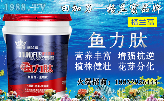 ����(sh��)��(du��)�B(y��ng)���������c(di��n)����Щ������(sh��)ʩ���`�^(q��)�����_ʩ�ʷ�����