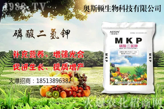 �Ă�(g��)Ʒ�N�����Ӹ��ó����҇����Ӯa(ch��n)�ؼ�Ʒ�N����Щ��