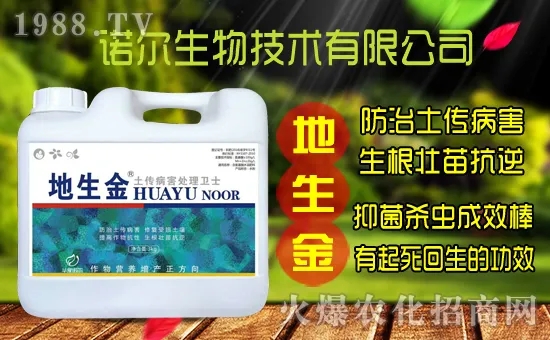 �S���˷N����ô�ɼ����S���˷N��r������Xһ����