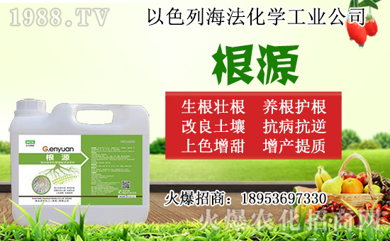 �o������ôǤ�����o����Ǥ��r(sh��)�g��Ǥ�己ֳ������