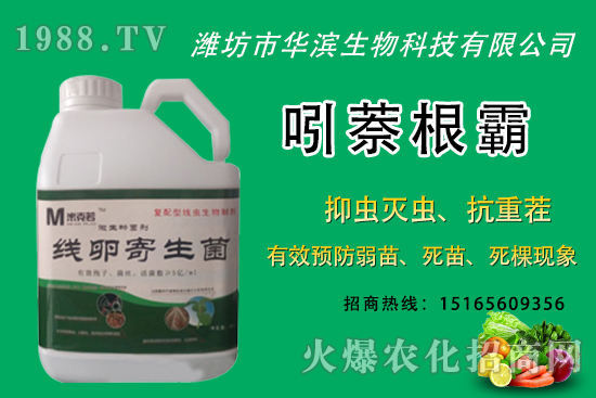 �o�����NֲʲôƷ�N�^�����o����Ƥ���ԳԆ����Nֲǰ��������