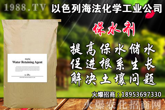 �۲���ηNֲ��Ʒ�N����x�����۲˲��N�r�g���Nֲ���g(sh��)��