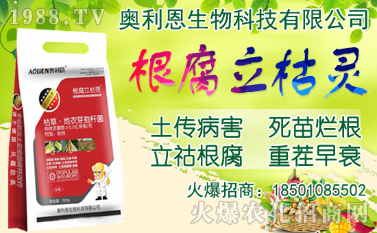 ���[���ʩ�ʣ����[�Nֲ���������N�r�g��