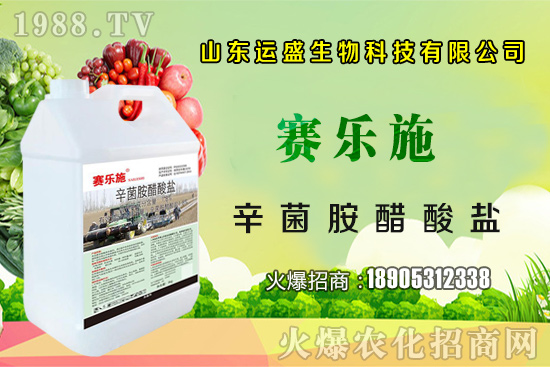 �����Ә���ڷ۷����������Ә���ζ�������