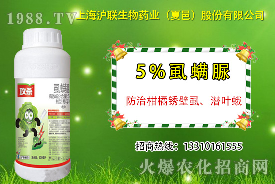 �����P��ʭ��ʲô�Y������ô�����������P��ʭ��ˎ���]