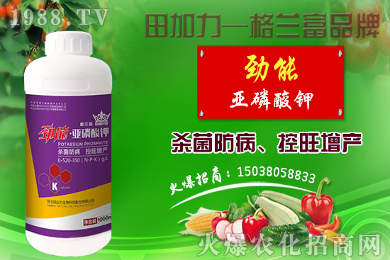 �޻������������ʩ�ʣ��޻�������Լ�ʩ��ԭ�t��