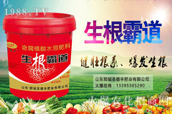 ������Nֲ����(ji��)��ʲô�r����������Nֲ��������Щ��