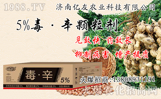 �������Ժʹ�����ʲô��ͬ���������԰˴��P�IҪ�c��