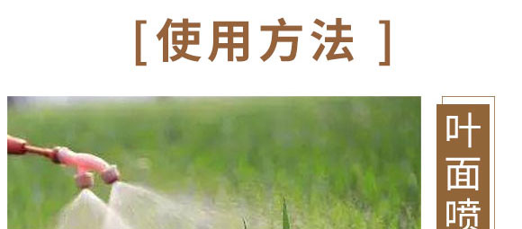 ����Ԫ��ˮ�ܷ�-��⏌�-Ӣ����_07