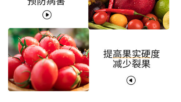 懸浮糖醇硼-英爾果_07