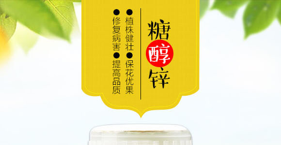 �Ǵ��\-Ӣ����_01