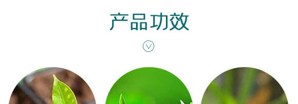 ΢�������-������-Ӣ����_04