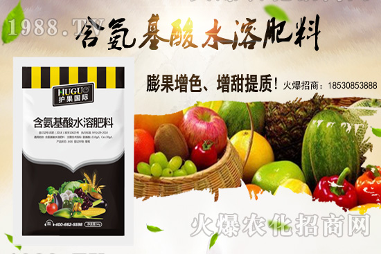 �|���m����ʲô����(ji��)�������|������M(j��n)�зNֲ��