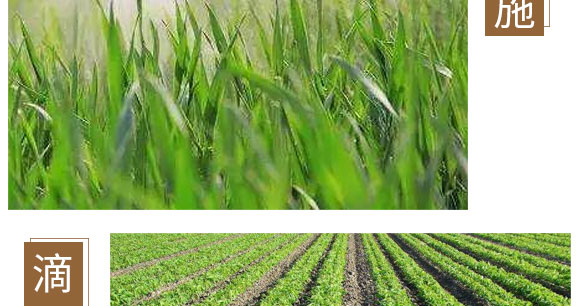 �}�V�\���F-Ӣ����_10