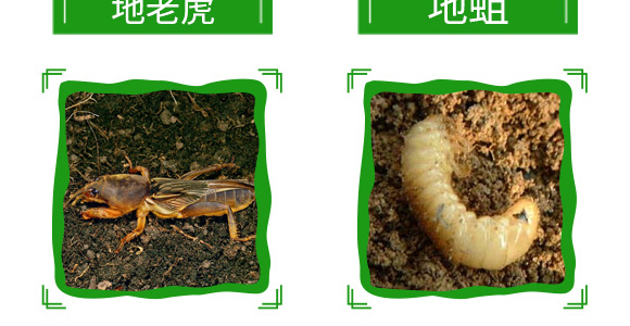 20%���衤������-����-��̖�r(n��ng)�I(y��)_12