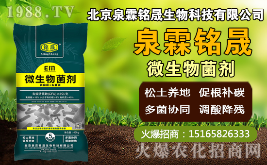 â��ʲô�r�g�Nֲ��â���Nֲ��������ˮ�r����