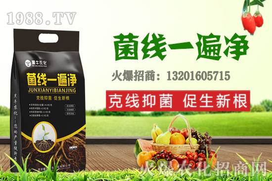 9��19��С���r����£��q�����F(xi��n)��