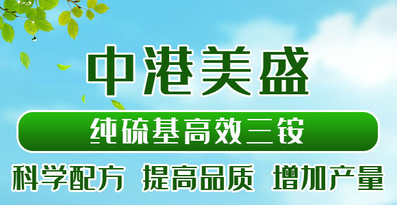 �ٻ����@10-60-0-���W����_01