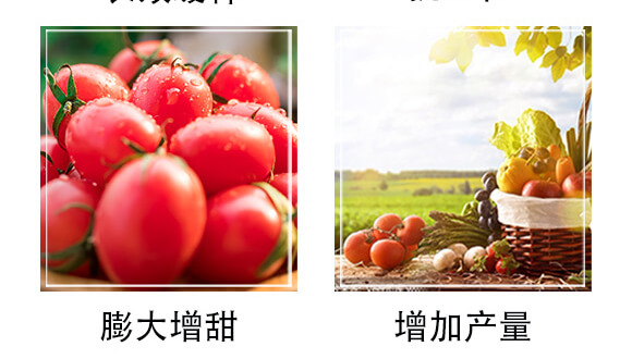 �������16-9-25-�и���ʢ_06