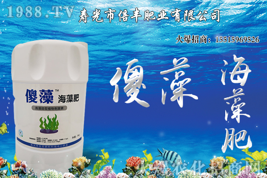 �Ј��𲽻ؚw�������������󶹃r��_�߻��䣡