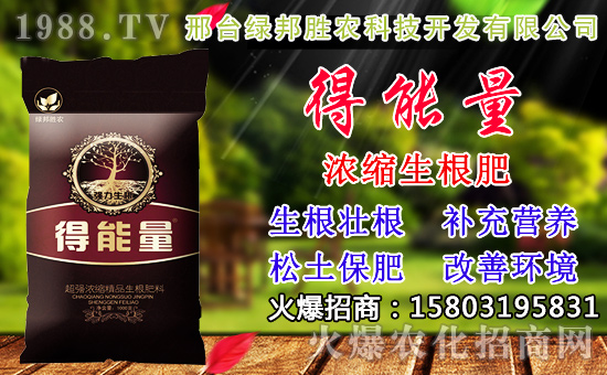 2020��С���N������x���߮a(ch��n)С��Ʒ�N����Щ��