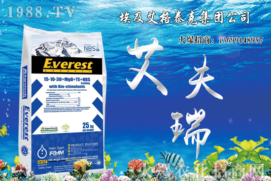 ����������Ҫ�c(di��n)����Щ�����������g���������x(ch��ng)��������