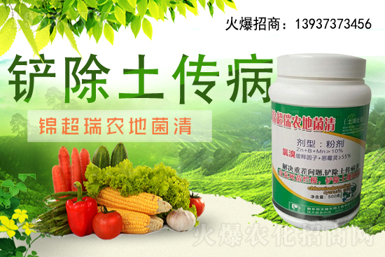 大棚辣椒水肥一體化栽培技術