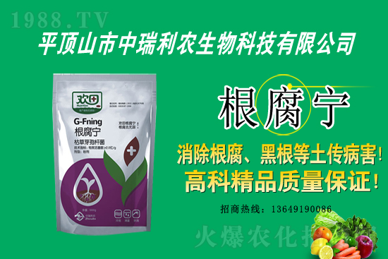 ��ݮ�������r(ji��)������2021��2��16��