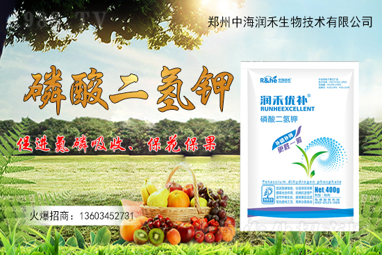 ����һ���굽��ԓ��ôʩ��������ʩ��ע���������Щ��