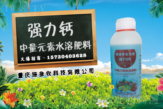 ��ǰС������������������������g���h