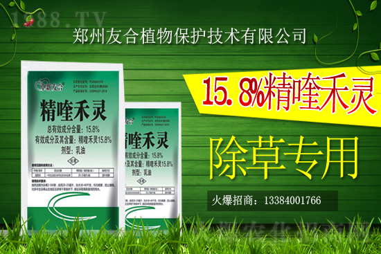 ���ݰ����݄��r(ji��)���߄�(sh��)2021��2��19��