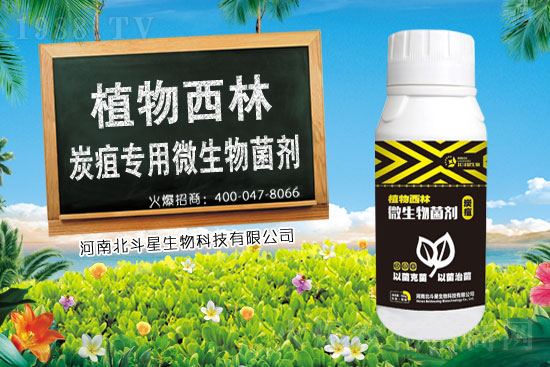 辣椒殺菌劑價(jià)格行情2021年1月28日