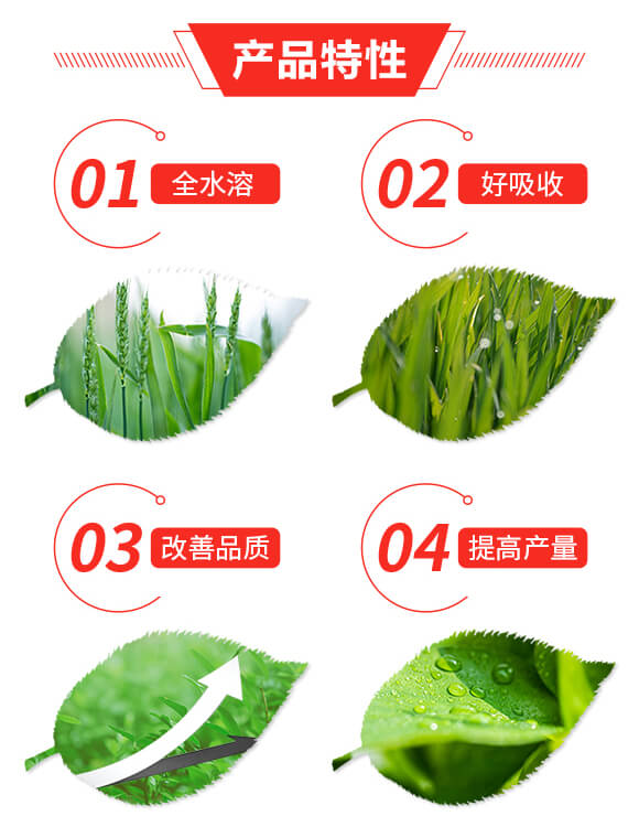 �ͻ����20-16-8+10-�����S_02