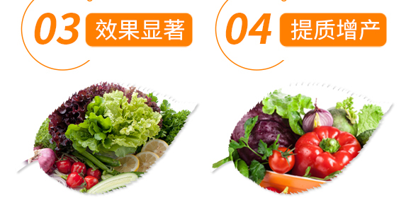 1000g����G��-��������_07