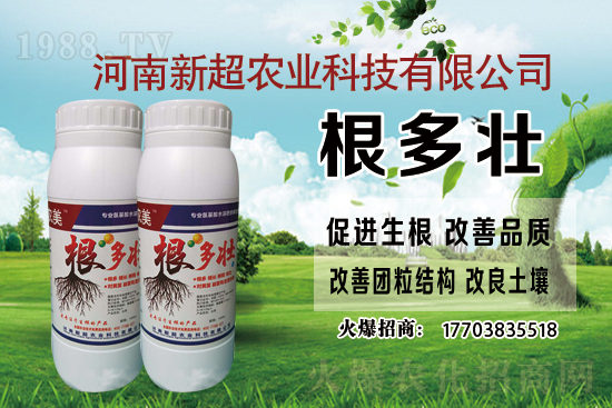 �r(n��ng)�ｨ�O(sh��)�a���Y��