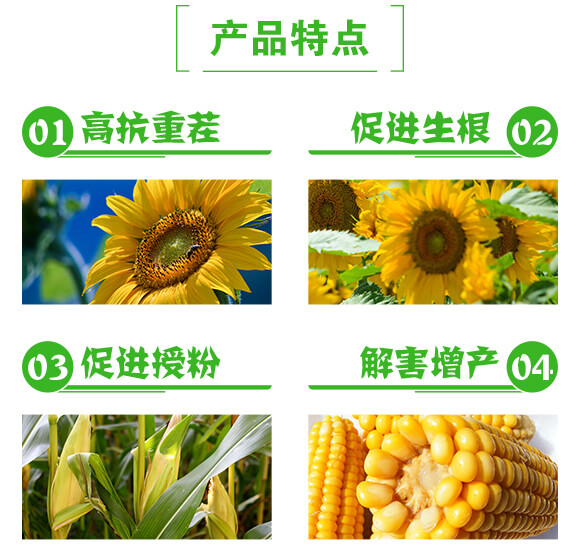 ������������_ʩ�ι��120-60-200-������_03