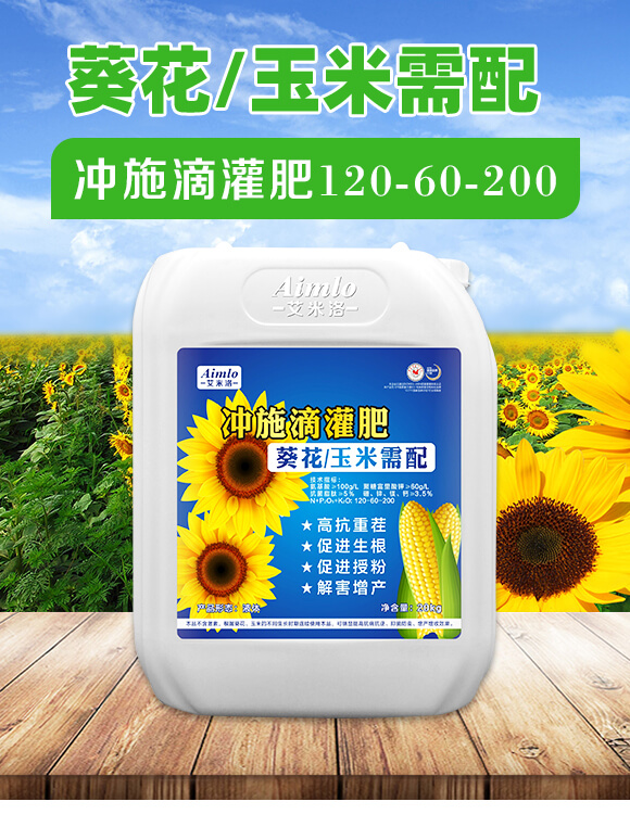 ������������_ʩ�ι��120-60-200-������_01