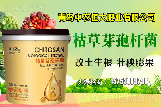 �ݲ�ѿ�ߗU������ǡ����С������ݲ�ѿ�ߗU�����w�������˽�᣿